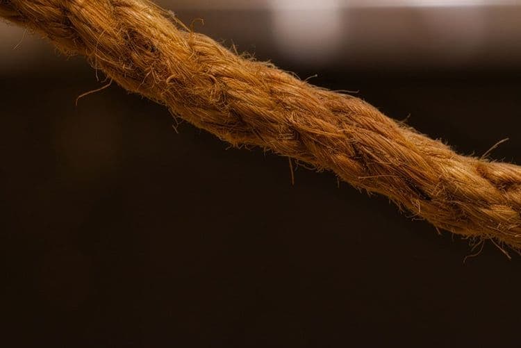 Festive Hair Trends: What UK Salons Need to Know