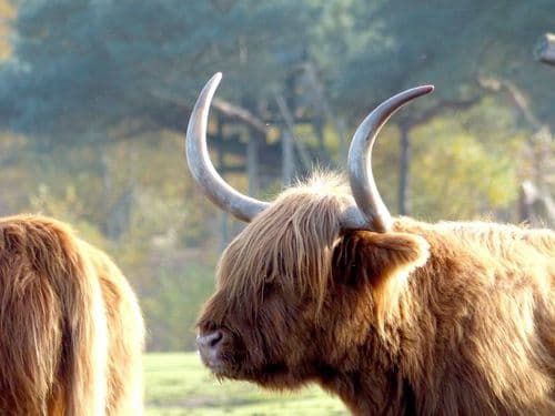Barbering Course Partnership Launched at Glasgow Kelvin College