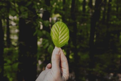 Salon Sustainability: 10 Practical Goals for UK Businesses