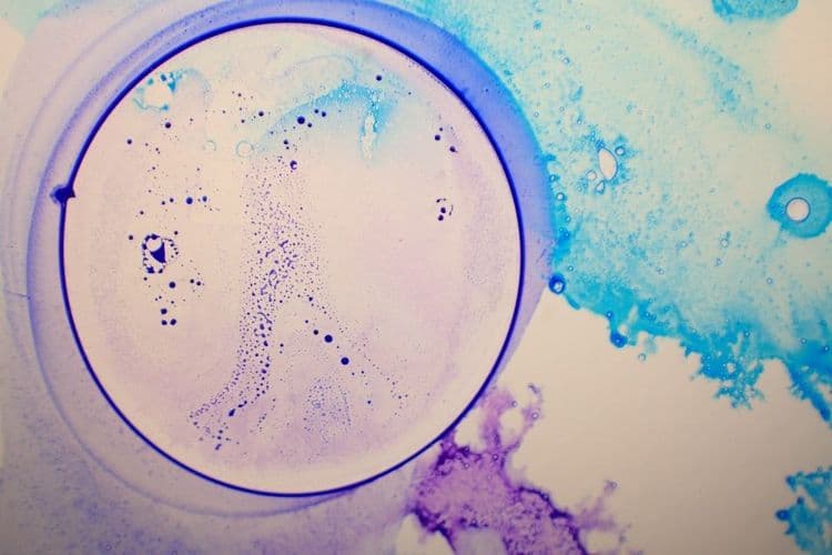 L'Oréal and Institut Pasteur Forge Skin Science Alliance