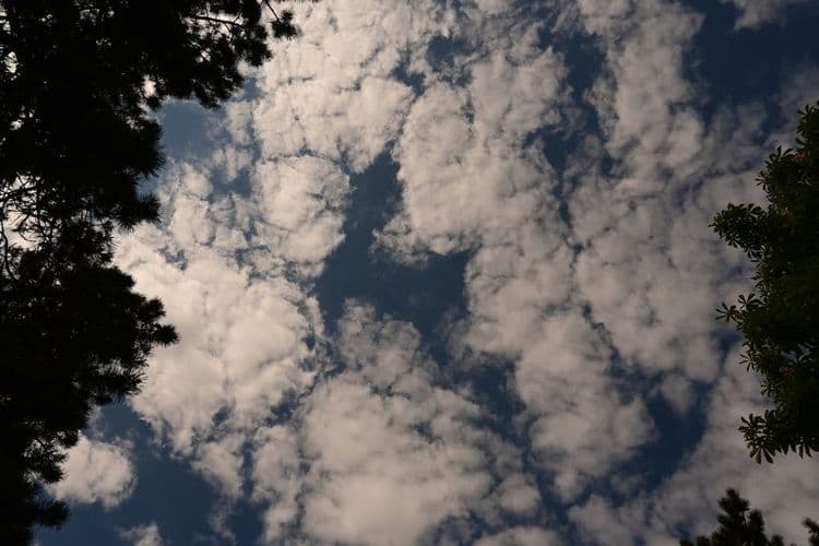 Pantone's Cloud Dancer: Nail Trends for 2026