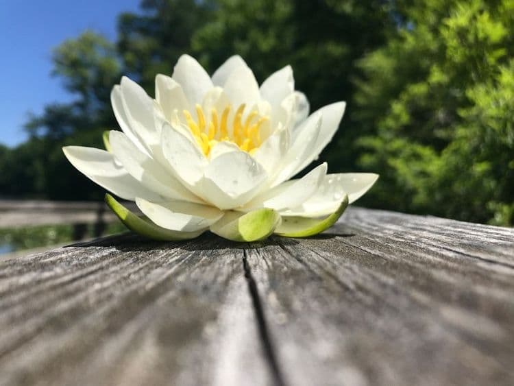 Boots Creates Wellness Zones & Specialist Training