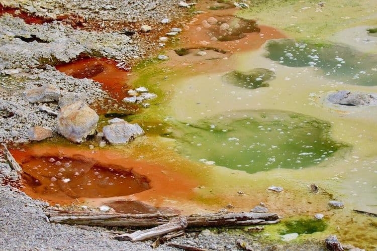 Salon Clients Face Hair Damage from Daily Water Exposure