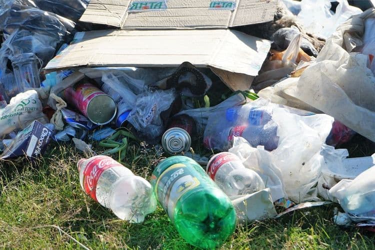 Phorest Salon Software Drives Green Initiatives