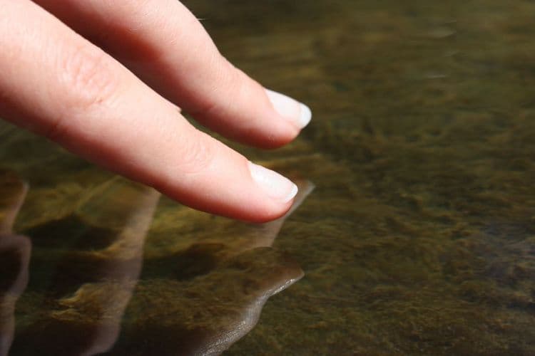 Nail Techs: Handling Ingrown Nails and Bacterial Infections