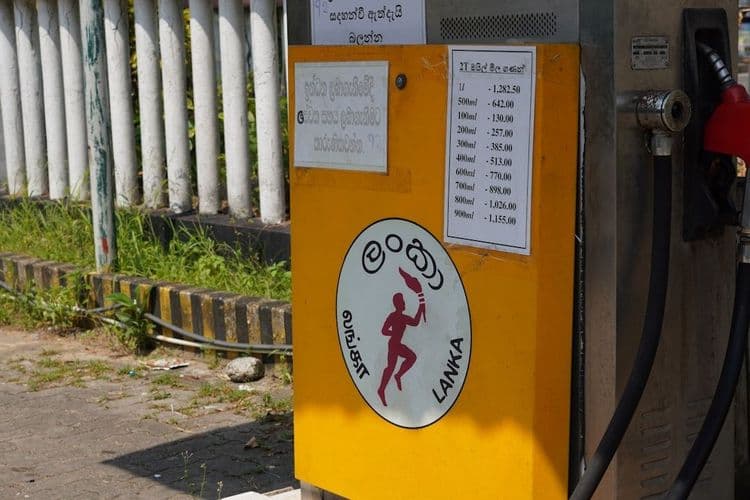 Hong Kong Retailers Act on Rising Shipping Costs