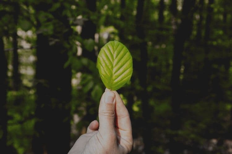 Salon Sustainability: 10 Practical Goals for UK Businesses