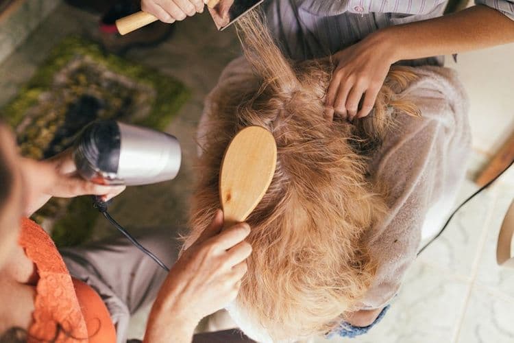 Salon Pros: Distinguish Hair Loss Types for Better Client Support