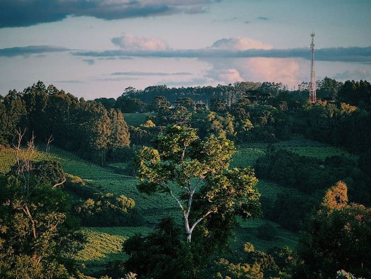 Amorepacific Integrates Shopping App with ChatGPT