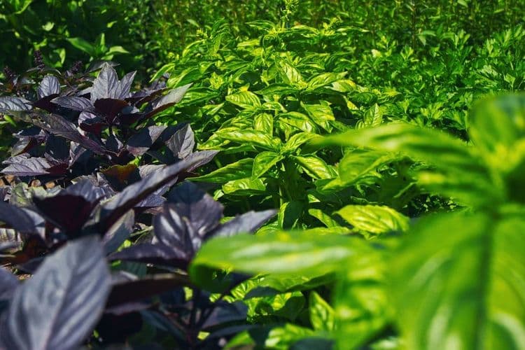 Croda hikes prices due to Middle East conflict costs