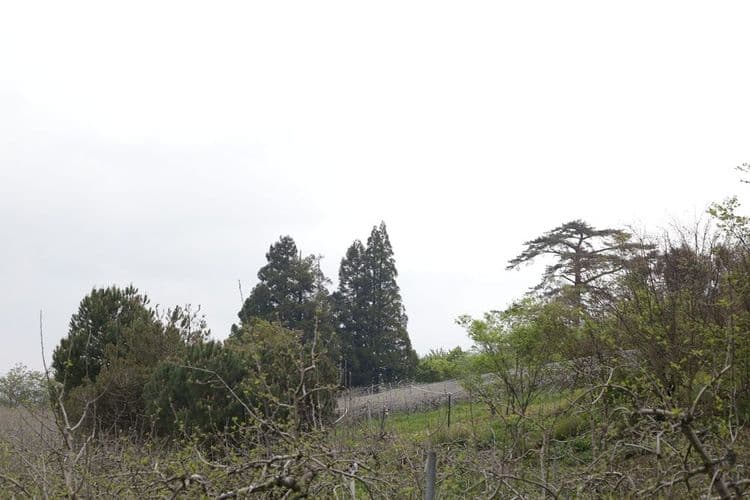 L'Oréal Professionnel's Paris Event Celebrates Hair Transformation