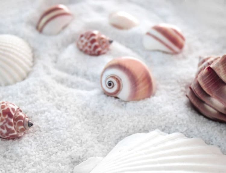 Summer 2026 Nail Trends: Mediterranean & Seashell Styles Lead