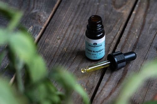 Nail Tech's "Dream" Product Launches Wellness-Focused Brand