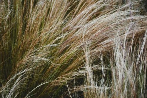 DermapenWorld's RE:GEN Roadshow Targets Hair & Scalp Education