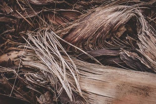 Spring Blonde Hair Trends: 5 Styles from Charlotte Paints Hair