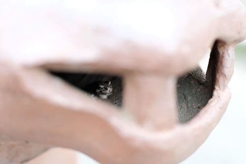 Nail Growth Rates: Facts for Salon Professionals