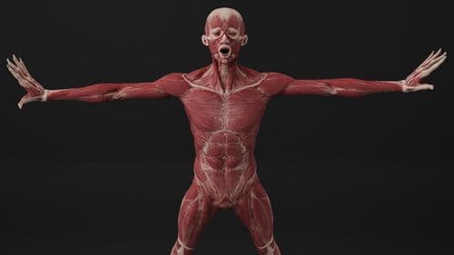 AI Skin Analysis Boosts Accuracy by Nearly 5% for Salons