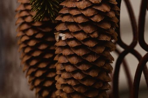 Short Christmas Nail Art: 30 Festive Designs Available