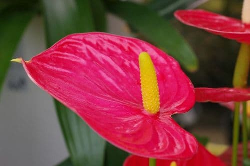 Five Spring Nail Colours Dominating 2026 Trends