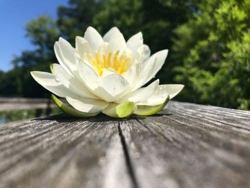 Boots Creates Wellness Zones & Specialist Training