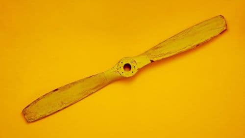 Eponychium's Role in Nail Health: A Focus for Technicians