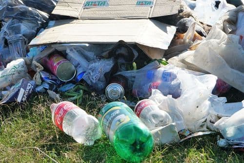 Phorest Salon Software Drives Green Initiatives