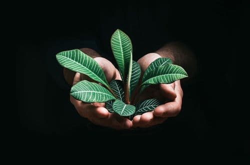 Salons Embrace Sustainability: Team Roles Highlighted