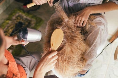 Salon Pros: Distinguish Hair Loss Types for Better Client Support