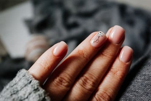 PNT Brand Aims to Cut Salon Time and Costs