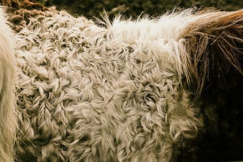 Stacey Ciceron: Specializing in Natural Texture Developed Her Business